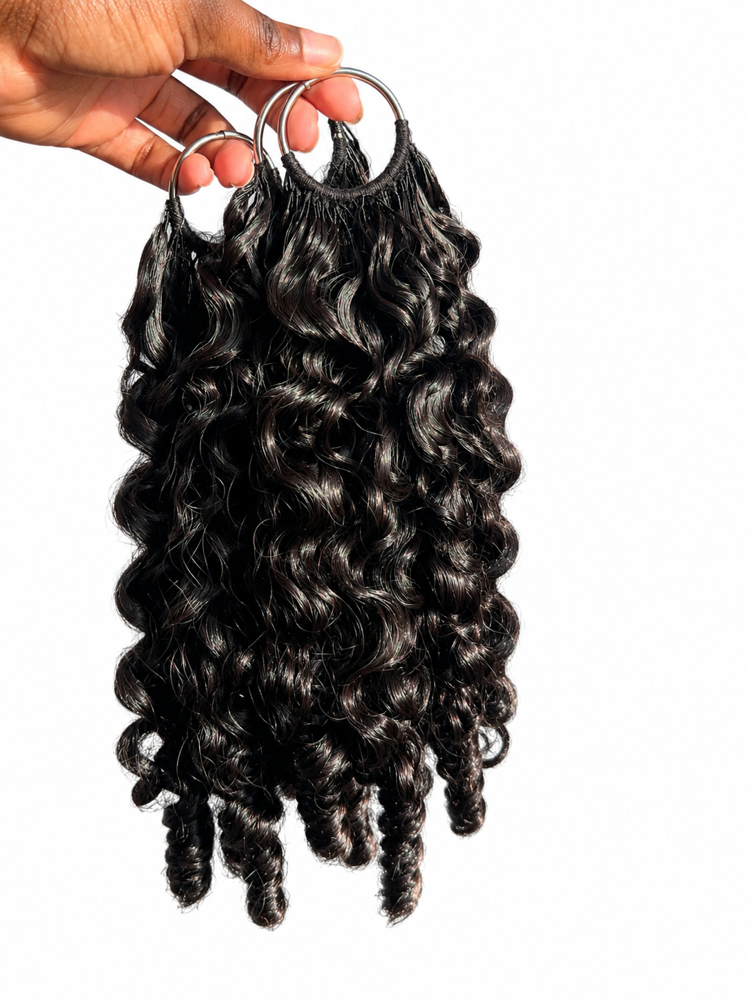 Burmeses Curly