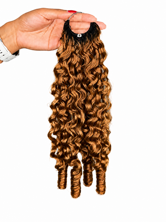Burmeses Curly
